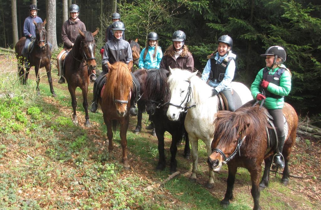 Pferdehof Koaser Minerl Ampflwang im Hausruckwald Exterior photo